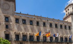 Subvenciones para ONG en Alicante 2025 | Guía práctica